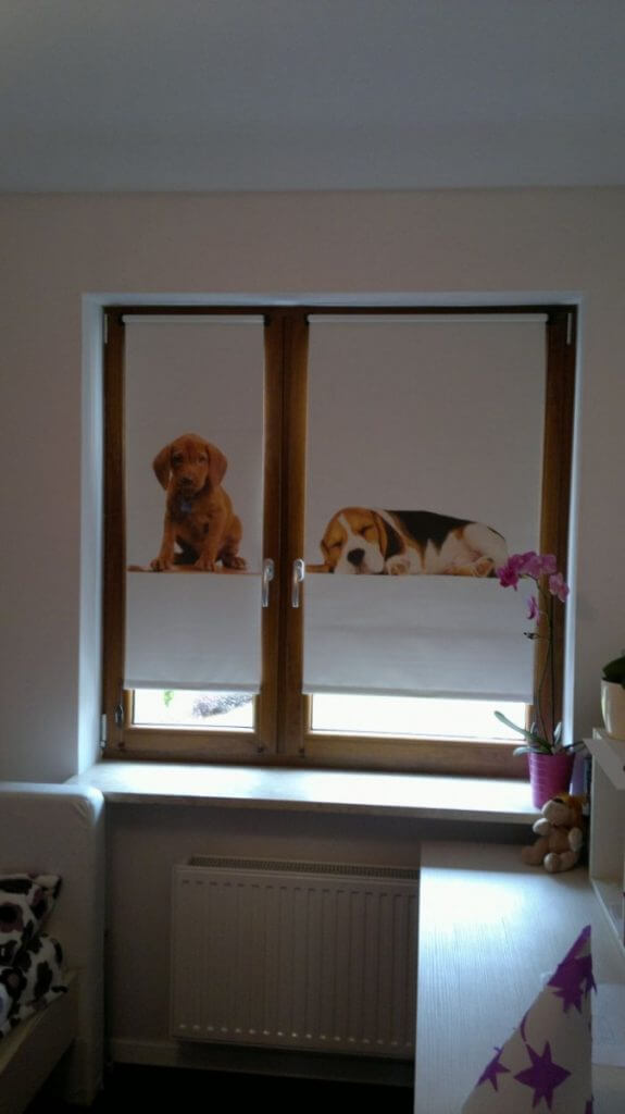 rolety materiałowe dla dzieci